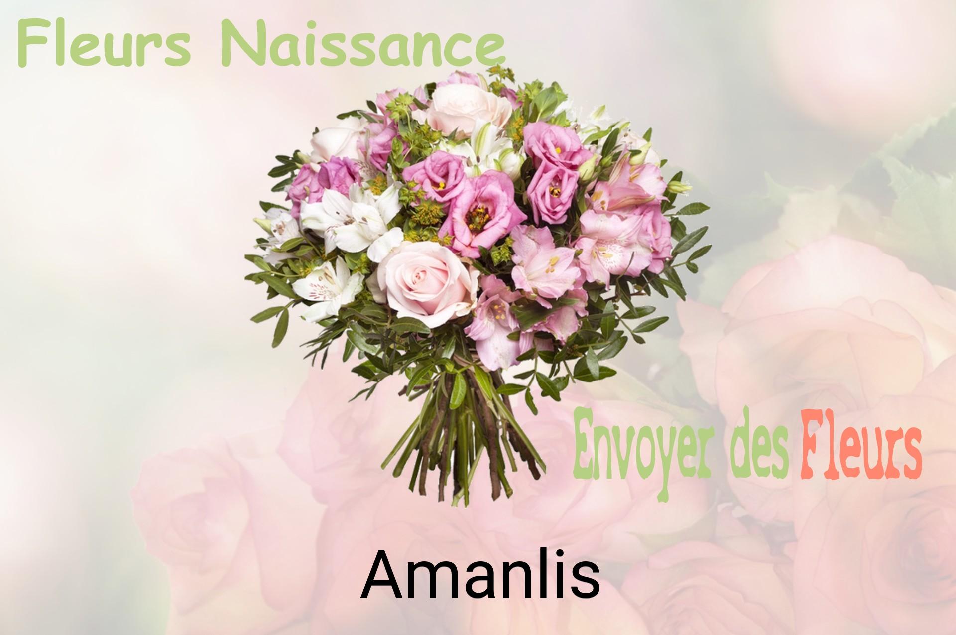 Bouquet de fleurs de naissance livré à Amanlis