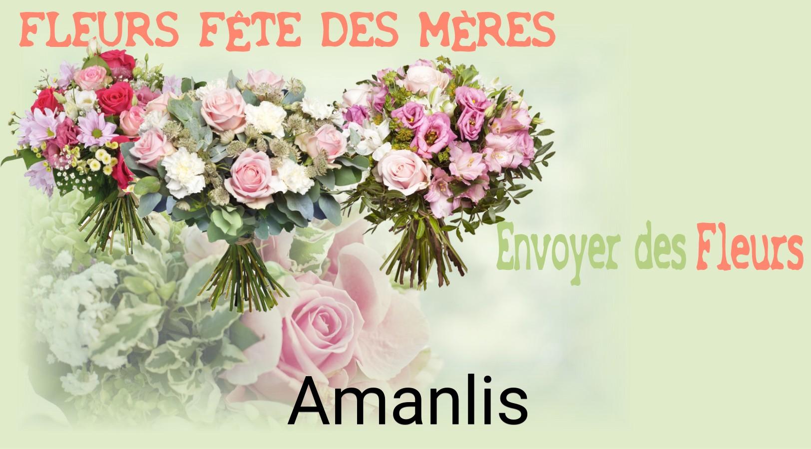 Bouquet de Fête des Mères livré à Amanlis